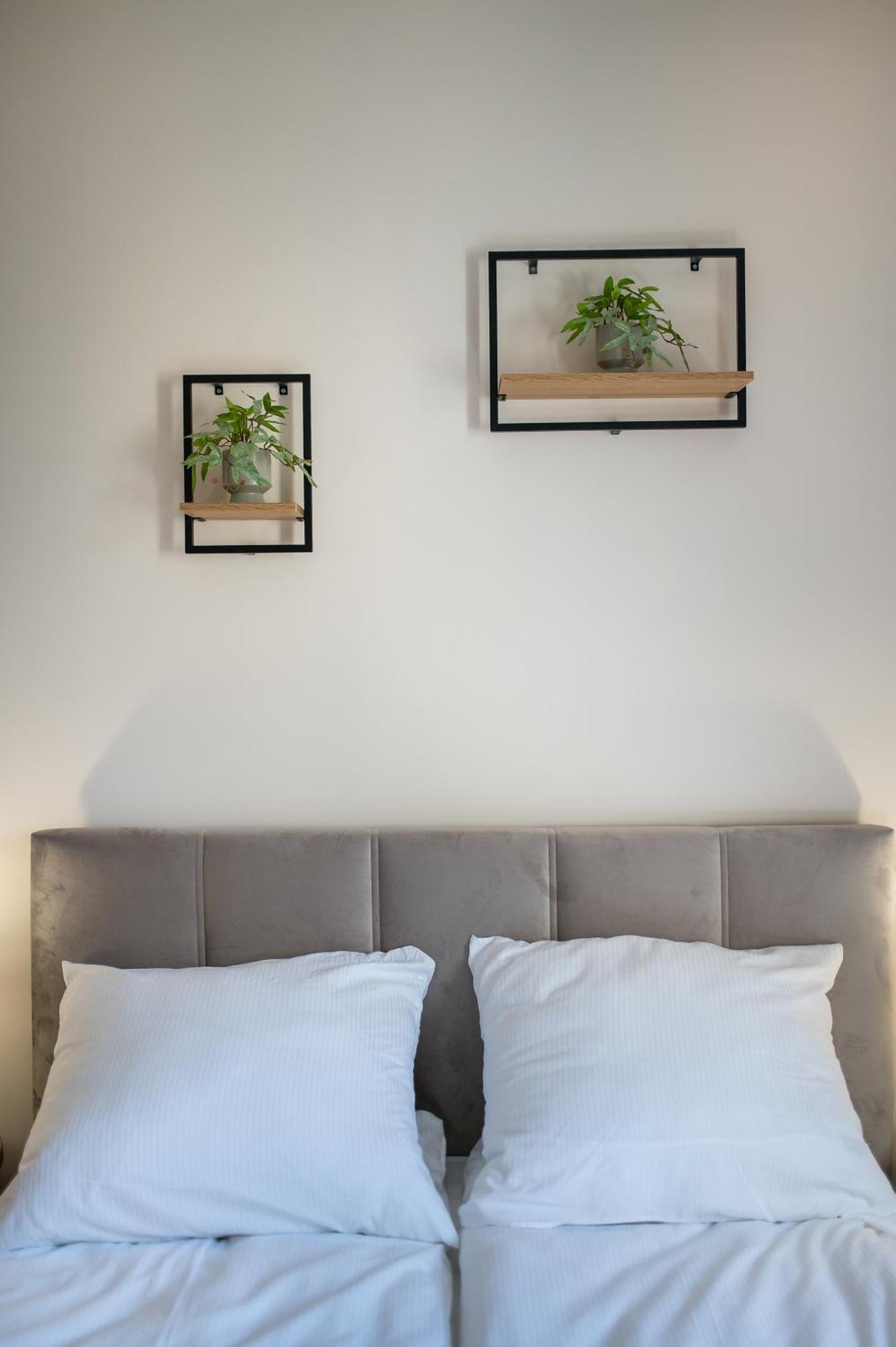 גליביצ'ה Apartament Lompy מראה חיצוני תמונה